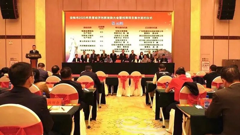 温州园区招商引资：打造区域经济发展新引擎